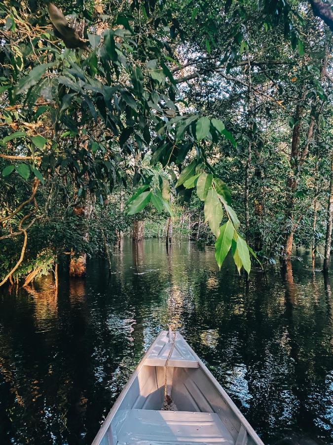 Amazon Arowana Lodge Careiro Eksteriør bilde
