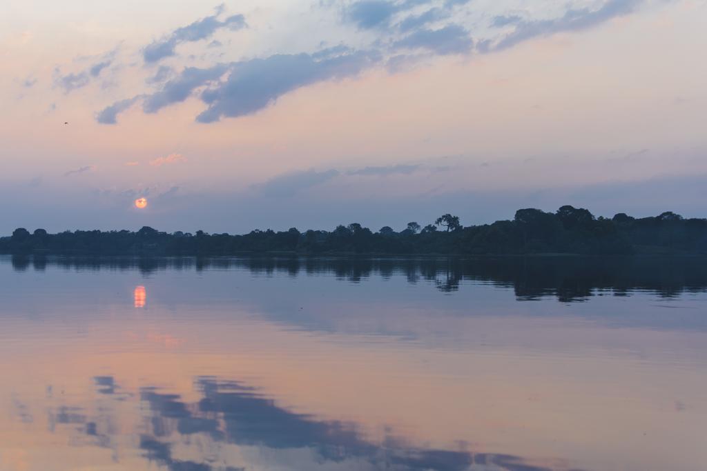 Amazon Arowana Lodge Careiro Eksteriør bilde