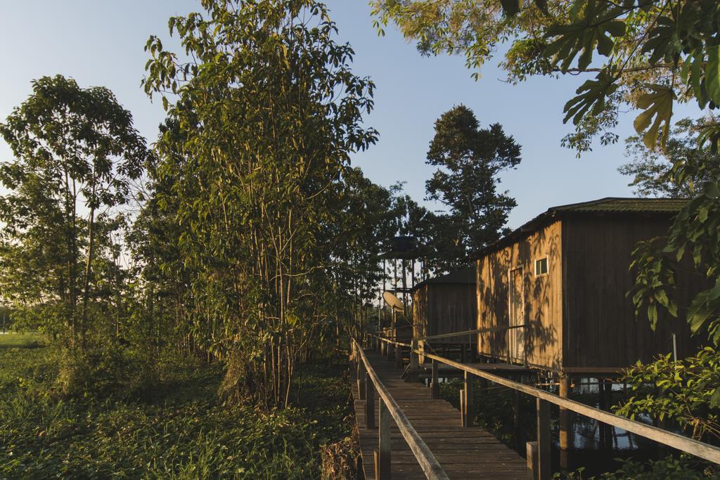 Amazon Arowana Lodge Careiro Eksteriør bilde